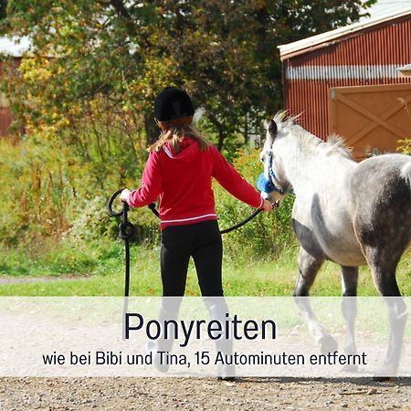 Natur-Chalet Zum Nationalpark Franz Inkl. E-Auto Allenbach Buitenkant foto