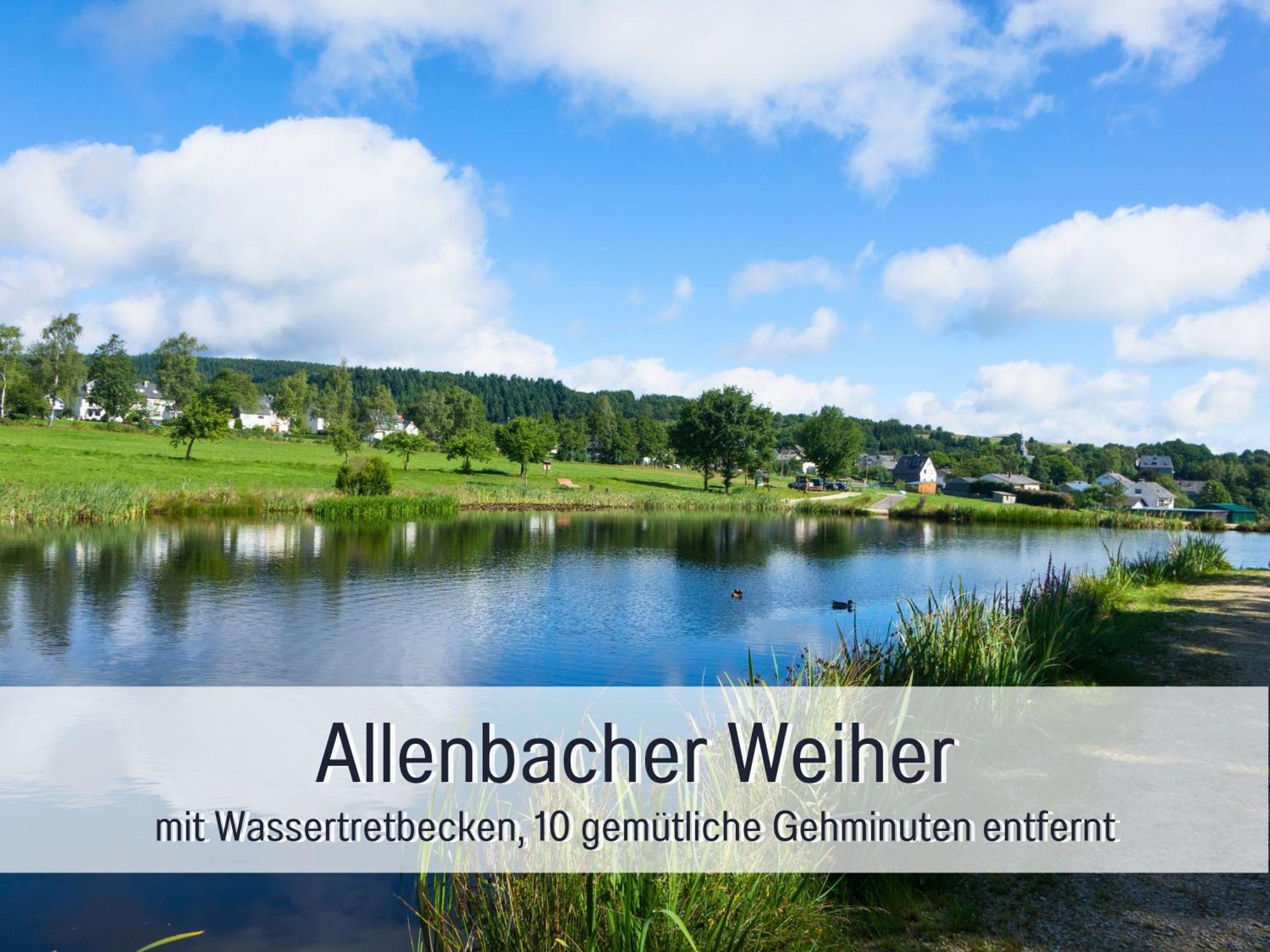 Natur-Chalet Zum Nationalpark Franz Inkl. E-Auto Allenbach Buitenkant foto