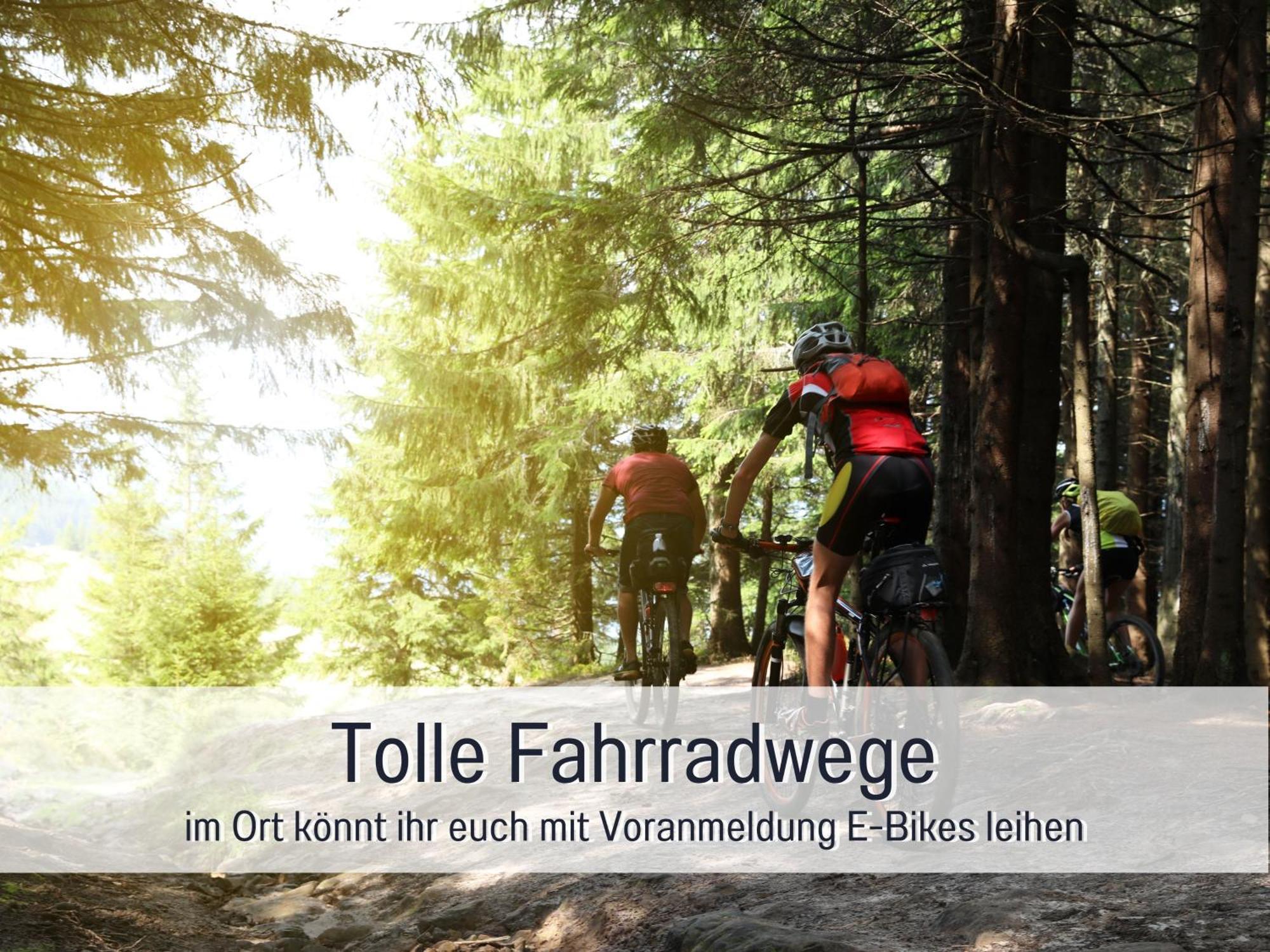 Natur-Chalet Zum Nationalpark Franz Inkl. E-Auto Allenbach Buitenkant foto