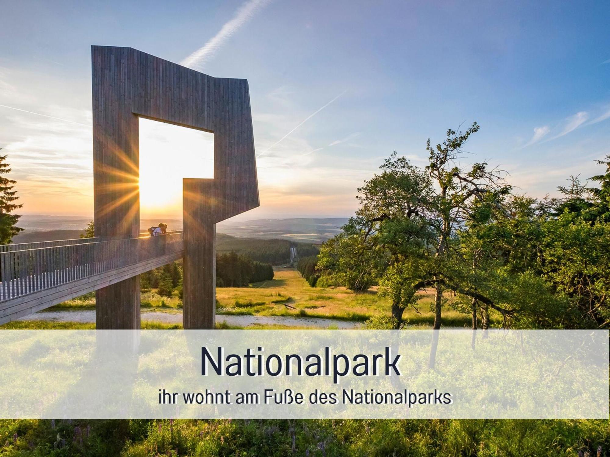 Natur-Chalet Zum Nationalpark Franz Inkl. E-Auto Allenbach Buitenkant foto